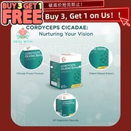 【现货】 [4for3] Fast DeliveryCordyceps Cicadae 350mg (60'S)虫草 金蝉花 | Eye Supplement | Trea‘tment For Gla