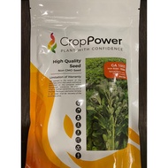 CROP POWER: 500 GRAM Round leaves Green Amaranth seeds / ih 种子 - Iron Bowl 铁饭碗 (GA1003)