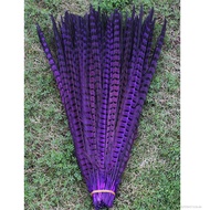 10 Root Root Beautiful Feather Feather Multcorwork Trang trí đồ trang trí 30-35cm JS-013-VN