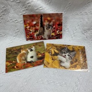 【日本購入】動物明信片 Postcard（可愛貓咪）