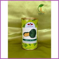 ▥ ☜ ✼ Bella F1 Hybrid Kalabasa Seeds 100grams (East-west Seed)