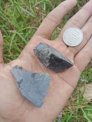 ✅ 2 pcs Bacan Doko Hitam ( Bahan Batu Akik Natural asli Ternate )