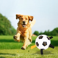 Pet Football with Rope Dog Toy Interactive Grab Indoor Outdoor Training Game Soccer Outdoor Playing Accessories