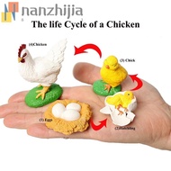 NANZHIJIA Growth Cycle Model Teaching Material Kids Toy Spider For Kid Insect Animals Butterfly Grow