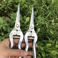 Tree pruning scissors, good quality bonsai pruning scissors shears pruning scissors