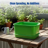 Large Capacity Bean Sprouting Jar, Planting Tray, Balcony Plant Pot, Crisp Bean Sprout Container