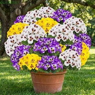 BLAZESKY Fake Flowers, 5 Head Lifelike Simulation Flowers Branch, Room Decor Home Decoration Colorfu