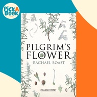 Pilgrim's Flower by Rachael Boast (UK edition, paperback)