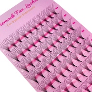 FAIRYTIS 5D 6D 8D 10D Premade Volume Fans Individual Faux Mink Eyelashes Extensions D Curl 8-15mm Mi
