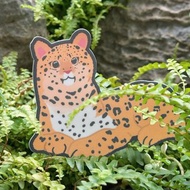 斑點貓咪 霧面PVC貼紙 大張 平板筆電機車行李箱貼紙