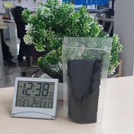 Basil Seeds Basil Seeds 100 gr