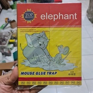 LEM TIKUS PAPAN PERANGKAP / JEBAKAN TIKUS CAP GAJAH IMPORT TOP BRAND