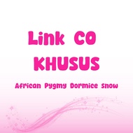 Link Co Special Buyer Custom african pygmy dormice