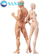 SANDR Action Figure Comic Anime Figure Human Postures For Artists Action Toy Figure Model