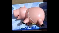 低價代購6百多： toy story 4玩具總動員4 七吋7吋一般公仔 ham 火腿 小豬