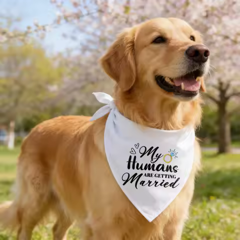 Sucado Dog Cat Triangle Scarf Neckerchief Costume, My Humans Are Getting Married,She Said Yes,Suitab