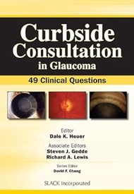 Curbside Consultation In Glaucoma: 49 Clinical Questions / fast shipping