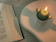 仙人掌石膏盆栽香氛蠟燭