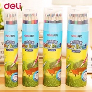 Deli Cup Colored Pencils 12/18/24/36 Colors with pencil sharpener Deli Colour Pencil