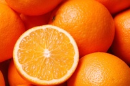 biji/benih/bibit buah jeruk ponkam
