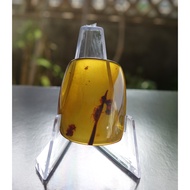 Natural Burmese Amber 4.68g Rough Stone Chalk Time Space Capsule Mountain Art