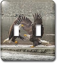 3D Rose lsp_229431_2 USA, Alaska, Chilkat Preserve. Bald Eagles Fighting. Double Toggle Switch