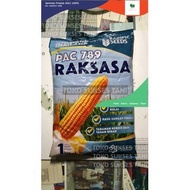 Benih jagung PAC 789 RAKSASA hibrida super produk PACIFIC SEEDS 1kg