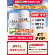 正 Weifujia Vitamin B2 Tablets b6 Tablets b6 Tablets Oral ulcer Genuine Flagship Store Fat Overflow D