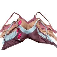 Bra for Teenagers and Adults from No. 34 to 42, 2 Hooks, SPORT STICK