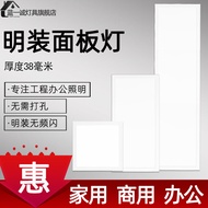 Surface Mounted Ceiling Light