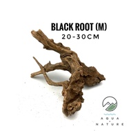 Aquascape Wood Size M -  Carbonized Black Root Aquarium Decor Aquascape Wood