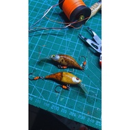 Minow burl amboyna wood