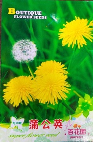 溢翠園藝 - 蒲公英種子 2包裝