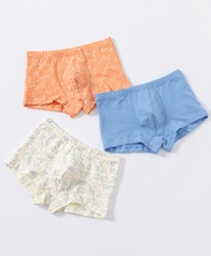 Young Hearts Junior Dinosaur World BOYS Briefs 3-packs Y04-B00906