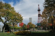 【主題旅遊】2025日本北海道馬拉松5日(奧運賽道、小樽運河、富田農場賞花)