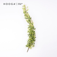 HOOGA Faux Botanical Series (Sweet Potato Leaves)