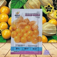 Biji CIPLUKAN KUNING JUMBO IMPORT KEMASAN ORIGINAL 550 BUTIR BENIH CIPLUKAN KUNING JUMBO IMPORT