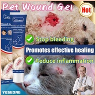 ✤ ∇ ❐ YEGBONG Pet Wound Cream For Dog Cats Antifungal Wound Repair Pet Antibacteria Gel For Skin 20