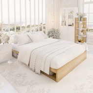 Koncept Furniture เตียง KC-PLAY รุ่น FANTASY-B สีขาว สีโอ๊ค