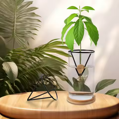 4Pcs Avocado Seed Holder Avocado Growing Triangular Holder Avocado Tree Growing Bracket Avocado Tree