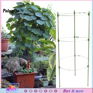 pe Elastic Plant Stand Climbing Plant Support Adjustable Plant Support Stand for Climbing Plants Sturdy Cage Frame Easy Installation Ideal for Southeast Asian Gardens