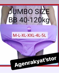 CD  BAYAR Ditempat Grosir Celana Dalam Wanita Satu Lusin 12pcs Wanita Esse Harga Grosir ( 1 lusin ) 