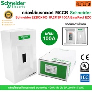 Schneider EZBOX100 MCCB Breaker Box 1P 2P 3P 100A EasyPact EZC Outer Cabinet Dustproof Strong