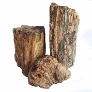 Wood Fossil Stone Aquascape Decoration Stone