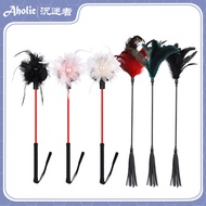 [Aholic Aholic] Variety of Chicken Feathers Ostrich Feather Sticks Scratching Cat Teasing Toy Sticks
