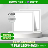 Panel Light Shop Ceiling Light