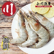 【小川漁屋】巨霸生凍大白蝦6盒（600g+-10%/盒/10~15尾）