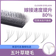 5D Five-Leaf Clover Eyelash Grafting y-Shape yy Clover Mixed Pack 5 Four-Leaf Clover Super Soft Thic