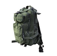 武SHOW MOLLE 3P 背包 綠( 槍盒 槍箱 槍袋 槍包 旅遊 登山 烤肉 露營 槍包 書包 生存遊戲 軍事風 