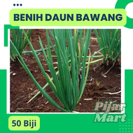 50 Biji Benih Daun Bawang F1 Fragrant Bibit Tanaman Daun Bawang Berkwalitas